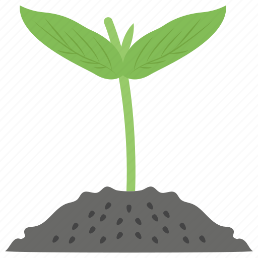 Farming, growing plant, plant, plantation, sowing, sprout icon - Download on Iconfinder