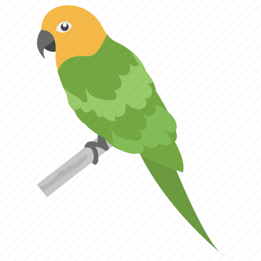 Bird, parrot, pet, pirate, psittacines icon - Download on Iconfinder