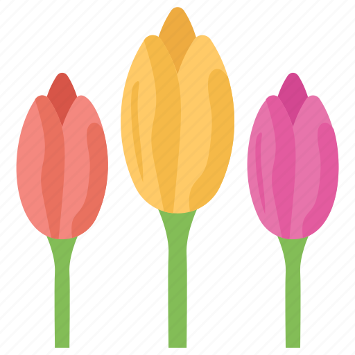 Beauty, flower, garden flower, nature, tulips icon - Download on Iconfinder