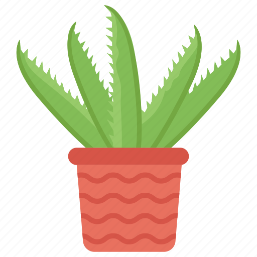 Aloe vera, cactus, organic plant, plant, succulent icon - Download on Iconfinder