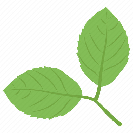 Branch leaves, leaves, nature, pair of leaves, plant icon - Download on Iconfinder