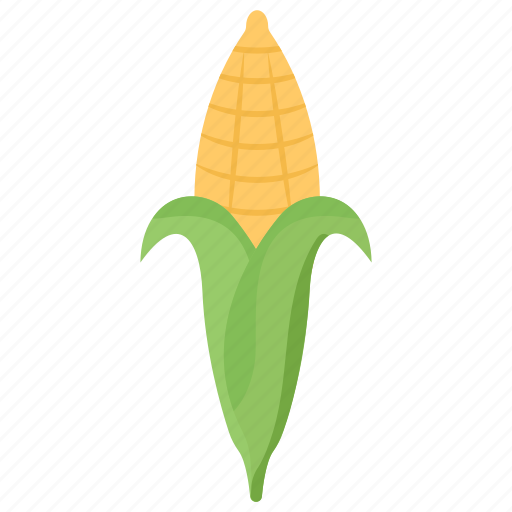 Corn, corn cob, corn husk, gram, maize icon - Download on Iconfinder