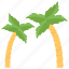 beach, date palm, date tree, palm tree, tropical tree 