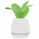 aloe vera, flower pot, home decoration, pot plant, vase