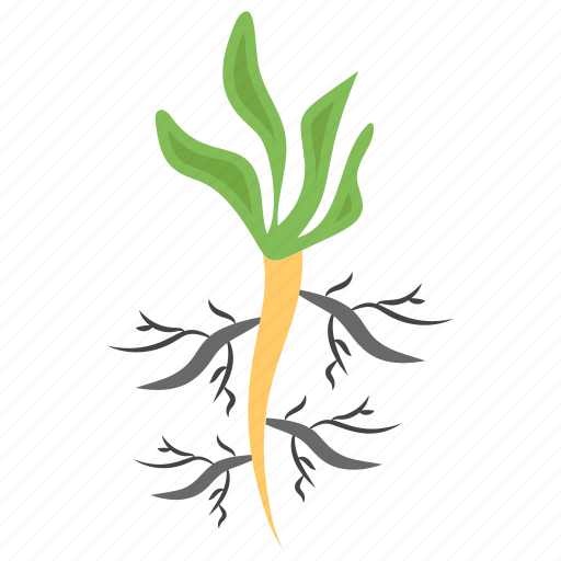 Gardening, plant, plant roots, plantation, root ground, roots icon - Download on Iconfinder