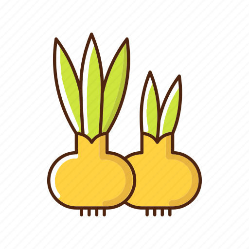 Blooming flower, horticulture, botany, root icon - Download on Iconfinder