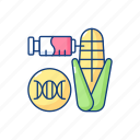 genetic, gmo, corn, cultivate