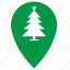 christmas, fir, new, new year, point, tree, pointer 