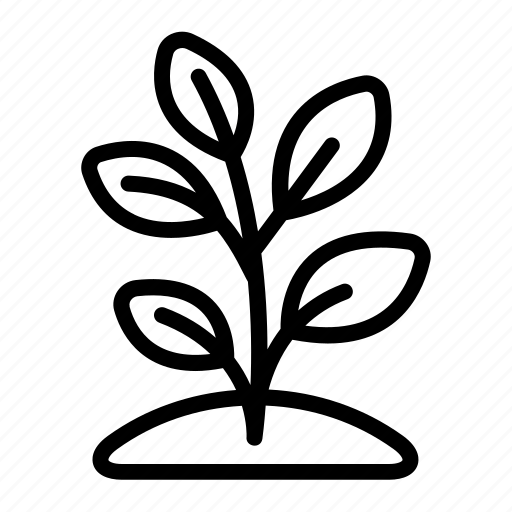 Grow, growing, growth, nature, new icon - Download on Iconfinder