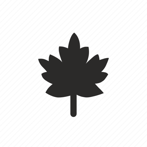 Canada, leaf, nature icon - Download on Iconfinder