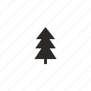 fir, forest, tree
