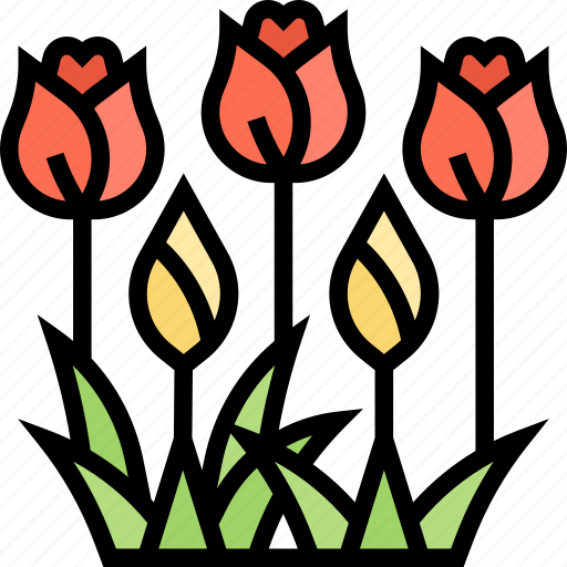 Tulip, flower, bloom, garden, spring icon - Download on Iconfinder