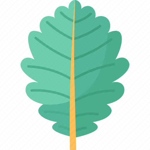 Oak, leaf, tree, autumn, nature icon - Download on Iconfinder