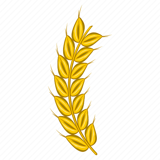 Agriculture, barley, beer, cartoon, food, plant, wheat icon