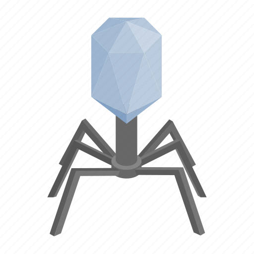 Animal, bacteria, cell, isometric, legs, spider, virus icon - Download on Iconfinder