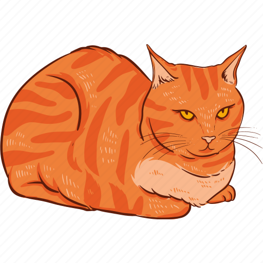 Ginger, cat icon - Download on Iconfinder on Iconfinder