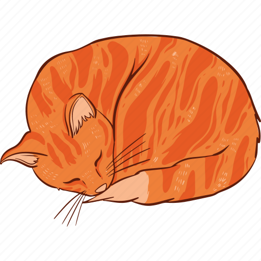 Ginger, cat, b icon - Download on Iconfinder on Iconfinder