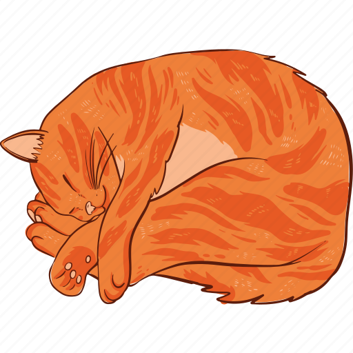 Ginger, cat, d icon - Download on Iconfinder on Iconfinder