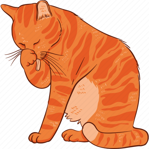 Ginger, cat, pet, orange icon - Download on Iconfinder