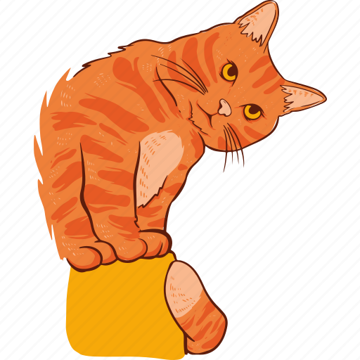 Ginger, cat, k icon - Download on Iconfinder on Iconfinder