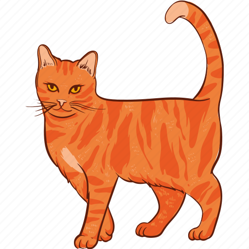Ginger, cat, animal, orange, mew icon - Download on Iconfinder