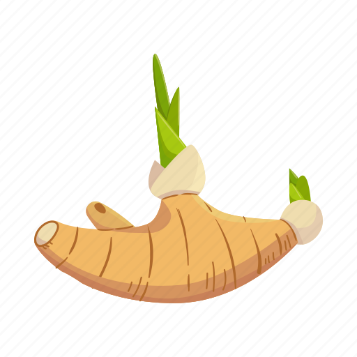Ginger, herbaceous, nature, plant, root, spice, tropical icon - Download on Iconfinder