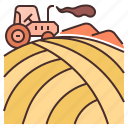 monoculture, agriculture, farming, field, growing, crop, organic, rural