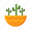 desert, cactus, plant, succulent 
