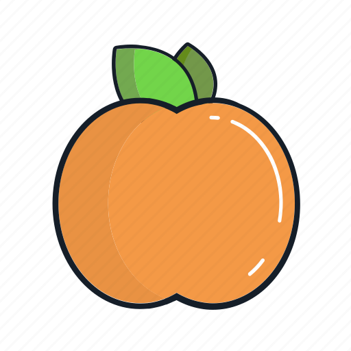 Food, fruit, healthy, juice, organic, peach, smoothie icon - Download on Iconfinder