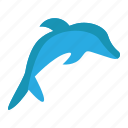 animal, dolphins, sea