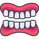 dentistry, dental, dentist, denture, dentures, oral, gum