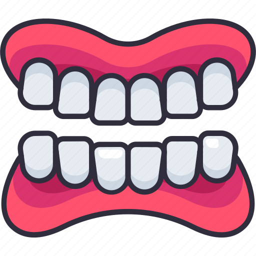 Dentistry, dental, dentist, denture, dentures, oral, gum icon - Download on Iconfinder