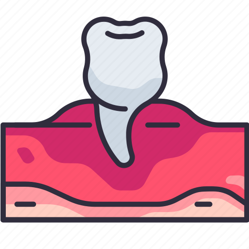 Dentistry, dental, dentist, premolar, molar, gum, teeth icon - Download on Iconfinder