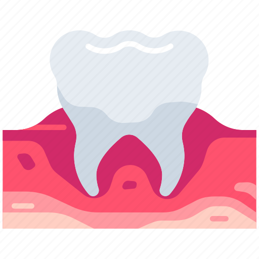 Dentistry, dental, dentist, medical, molar, gum, molar teeth icon - Download on Iconfinder