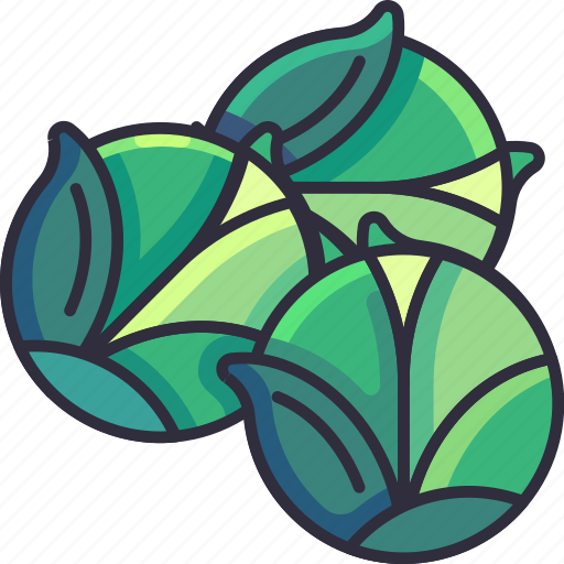 Brussels sprouts, brussel sprouts, cabbage, vegetable, fresh, food, vegetarian icon - Download on Iconfinder