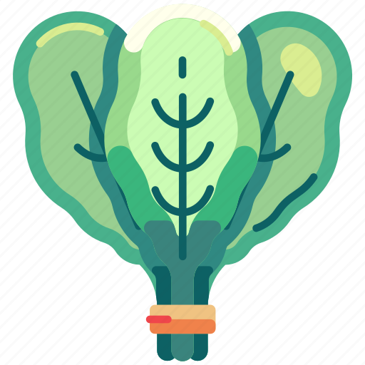 Spinach, leaf, vegetable, fresh, food, vegetarian, organic icon - Download on Iconfinder