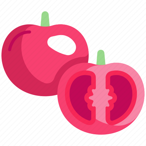 Tomato, vegetable, fresh, food, vegetarian, organic, diet icon - Download on Iconfinder