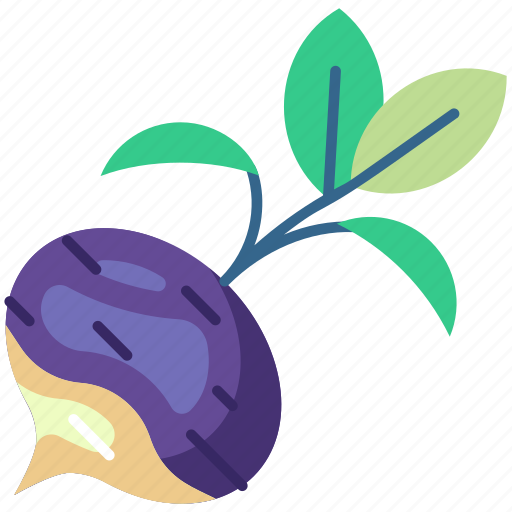 Turnip, radish, vegetable, fresh, food, vegetarian, organic icon - Download on Iconfinder