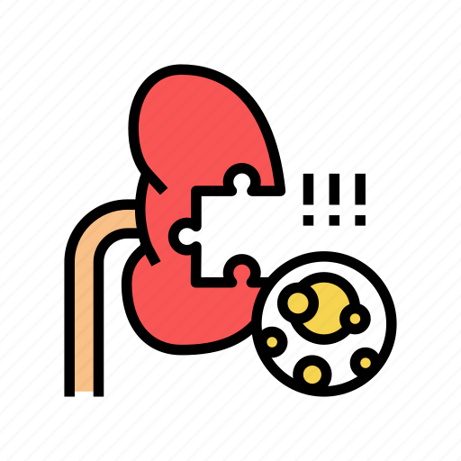 Kidney, stones, gout, symptom, health, disease icon - Download on Iconfinder