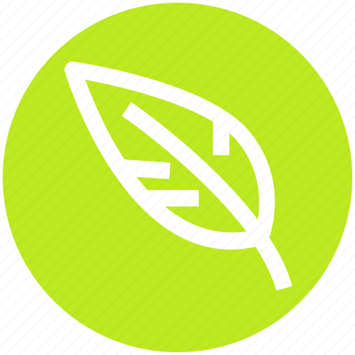 Bio, design, green, leaf, nature, organic icon - Download on Iconfinder
