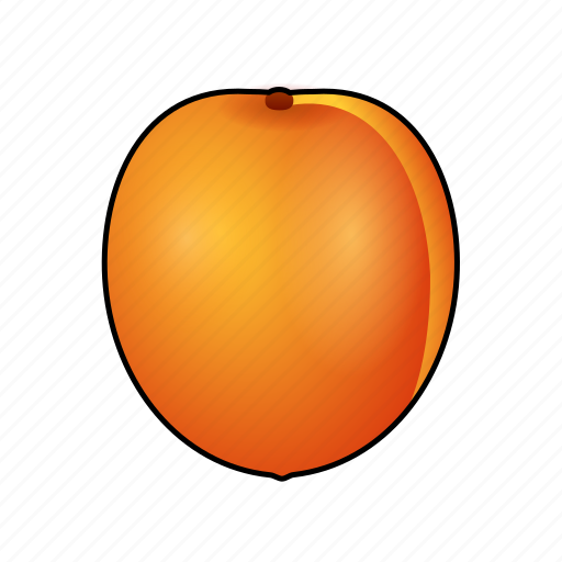 Apricot, food, cooking, fruit, abricot, albaricoque, aprikose icon - Download on Iconfinder