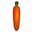 carrott, food, vegetable, cooking 