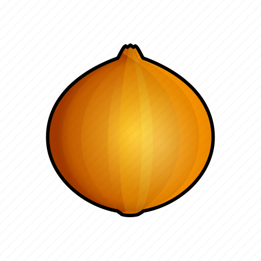 Oignon, onion, food, vegetable, cooking icon - Download on Iconfinder