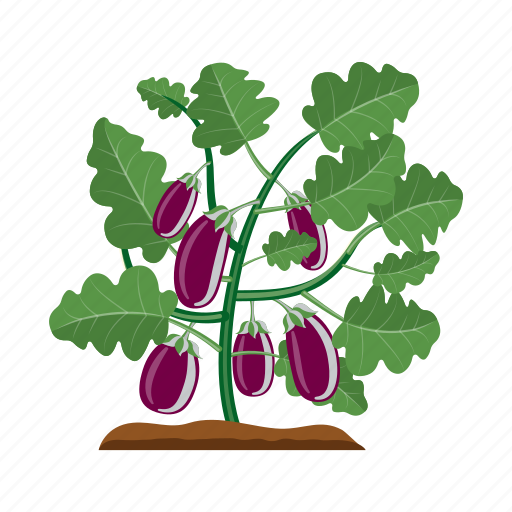Agriculture, aubergine, eggplant, garden, plant icon - Download on Iconfinder