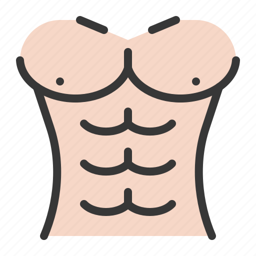 Equipment, gym, men, muscle, sixpack, sport, taining icon - Download on Iconfinder