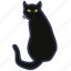 black cat, cat, halloween, misfortune, trouble, animal, pet 
