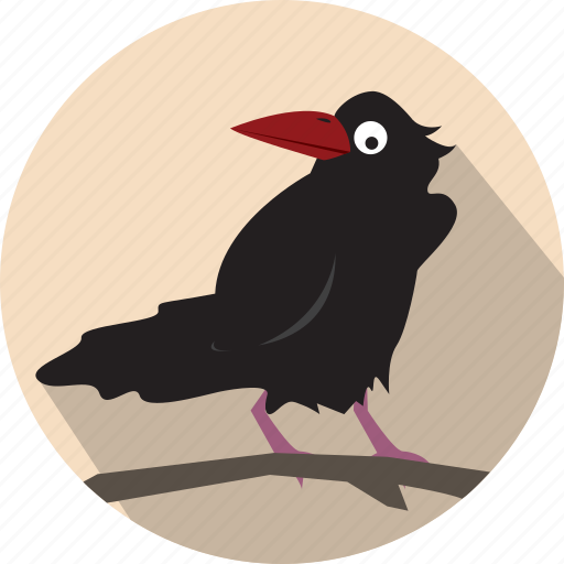 Raven, brid, fairy, tail icon - Download on Iconfinder