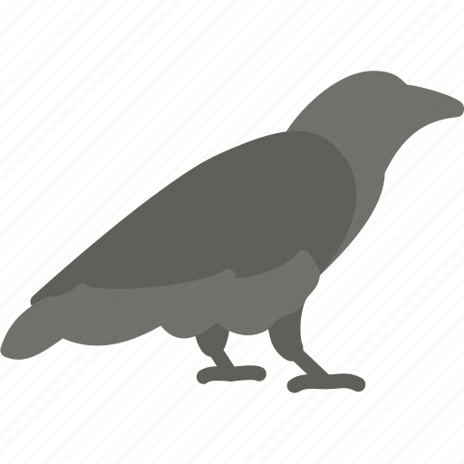 Halloween, holidays, raven icon - Download on Iconfinder