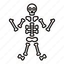 ghost, halloween, skeleton, skull, spooky