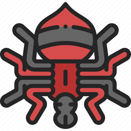 Spider, tarantula, wildlife, danger, insect, creepy, poisonous icon - Download on Iconfinder